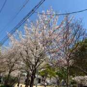 ヒメ日記 2026/04/08 11:13 投稿 七色かなで コウテイ