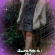 ヒメ日記 2026/02/10 11:45 投稿 よしの 熟女総本店 堺東店