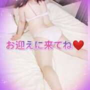 ヒメ日記 2026/02/28 13:15 投稿 よしの 熟女総本店 堺東店