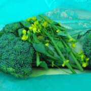 ヒメ日記 2026/02/28 17:39 投稿 よしの 熟女総本店 堺東店