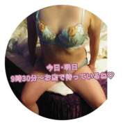 ヒメ日記 2026/03/06 09:30 投稿 よしの 熟女総本店 堺東店