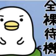 ヒメ日記 2026/03/06 13:02 投稿 よしの 熟女総本店 堺東店