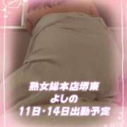 ヒメ日記 2026/03/10 17:30 投稿 よしの 熟女総本店 堺東店