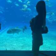 ヒメ日記 2026/02/04 15:13 投稿 つばさ アニバーサリー