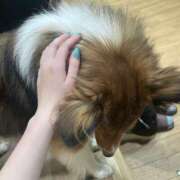 ヒメ日記 2026/02/05 01:11 投稿 虹奈（にな） NOA（ノア）