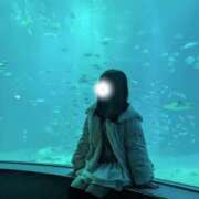 ヒメ日記 2026/02/06 12:34 投稿 虹奈（にな） NOA（ノア）