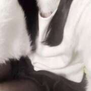 ヒメ日記 2026/03/14 17:28 投稿 虹奈（にな） NOA（ノア）