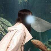 ヒメ日記 2026/03/16 18:17 投稿 虹奈（にな） NOA（ノア）