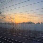 ヒメ日記 2026/02/06 09:31 投稿 ヒヨリ マテリアル