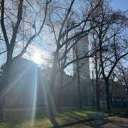 ヒヨリ 会いに来てくれて本当に嬉しいです マテリアル