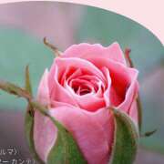 ヒメ日記 2026/02/03 18:48 投稿 松岡るり子 五十路マダム 徳島店