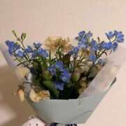 ヒメ日記 2026/04/12 00:47 投稿 星空奏 皇帝別館（こうていべっかん）