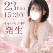 ヒメ日記 2026/08/15 23:49 投稿 ももか MAXIM（マキシム）