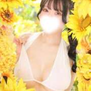 ヒメ日記 2026/08/24 09:09 投稿 ももか MAXIM（マキシム）