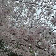 ヒメ日記 2026/04/01 22:58 投稿 金木　なこ 未熟な人妻