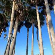 ヒメ日記 2026/02/20 16:39 投稿 なつき クラブバカラ