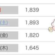 ヒメ日記 2026/02/09 16:25 投稿 もか 熊本ピカソ