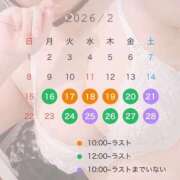 ヒメ日記 2026/02/16 14:41 投稿 もか 熊本ピカソ