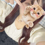 ヒメ日記 2026/02/08 03:53 投稿 みさ クラブ バレンタイン大阪