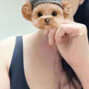 ヒメ日記 2026/03/23 23:22 投稿 ゆえり タレント倶楽部Around40