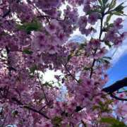 ヒメ日記 2026/03/15 11:20 投稿 ちひろ 美熟女倶楽部Hip's西川口店