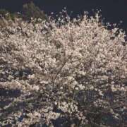 ヒメ日記 2026/03/30 22:03 投稿 ふたば 完熟ばなな大宮