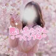 ヒメ日記 2026/03/25 11:52 投稿 さき TALENT（タレント）