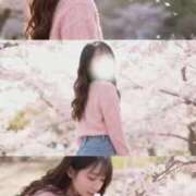 ヒメ日記 2026/04/01 08:52 投稿 さき TALENT（タレント）