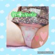 ヒメ日記 2026/02/20 16:49 投稿 しずく 茨城日立ちゃんこ