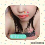 ヒメ日記 2026/03/14 12:19 投稿 しずく 茨城日立ちゃんこ