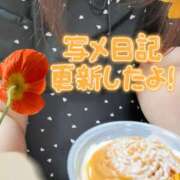 ヒメ日記 2026/08/23 19:59 投稿 しずく 茨城日立ちゃんこ