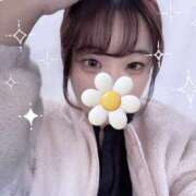 ヒメ日記 2026/02/06 09:42 投稿 かすみ club さくら日本橋店