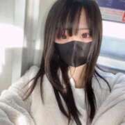 ゆき なんの日？ ナイトヴィーナス