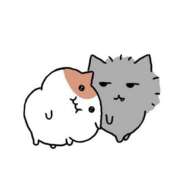 ヒメ日記 2026/03/26 12:19 投稿 ほむら とある風俗店♡やりすぎさーくる新宿大久保店♡で色んな無料オプションしてみました