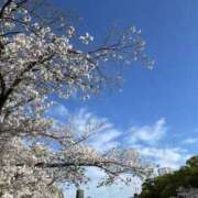 るあ るあ（スピード日本橋店） スピード日本橋店