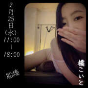 橘こいと . .  ミセスファンタジー