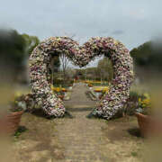 ヒメ日記 2026/02/28 22:26 投稿 白山みるく ミセスファンタジー