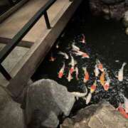 ヒメ日記 2026/04/29 17:56 投稿 白山みるく ミセスファンタジー