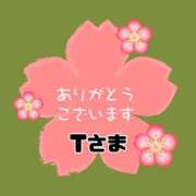 ヒメ日記 2026/02/12 12:05 投稿 江藤さくら ミセスファンタジー