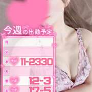 ヒメ日記 2026/02/24 20:29 投稿 江藤さくら ミセスファンタジー