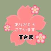 ヒメ日記 2026/04/03 13:41 投稿 江藤さくら ミセスファンタジー