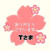 ヒメ日記 2026/04/22 07:48 投稿 江藤さくら ミセスファンタジー
