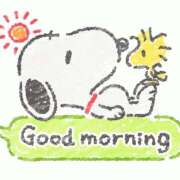 泉水ねね ※無題 ミセスファンタジー