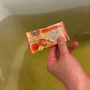 ヒメ日記 2026/03/05 08:30 投稿 あやね ピュアコス学園