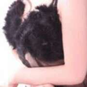 ヒメ日記 2026/03/03 07:42 投稿 えりか クラブ貴公子