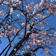 ヒメ日記 2026/03/05 12:56 投稿 えりか クラブ貴公子