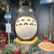 ヒメ日記 2026/03/13 09:34 投稿 えりか クラブ貴公子