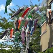 ヒメ日記 2026/04/17 16:27 投稿 えりか クラブ貴公子