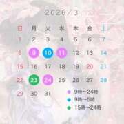 ヒメ日記 2026/02/26 14:04 投稿 黒美せいか デリス新宿