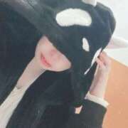 【SP】せいら ラスト枠⭐️ ミセスサマンサ